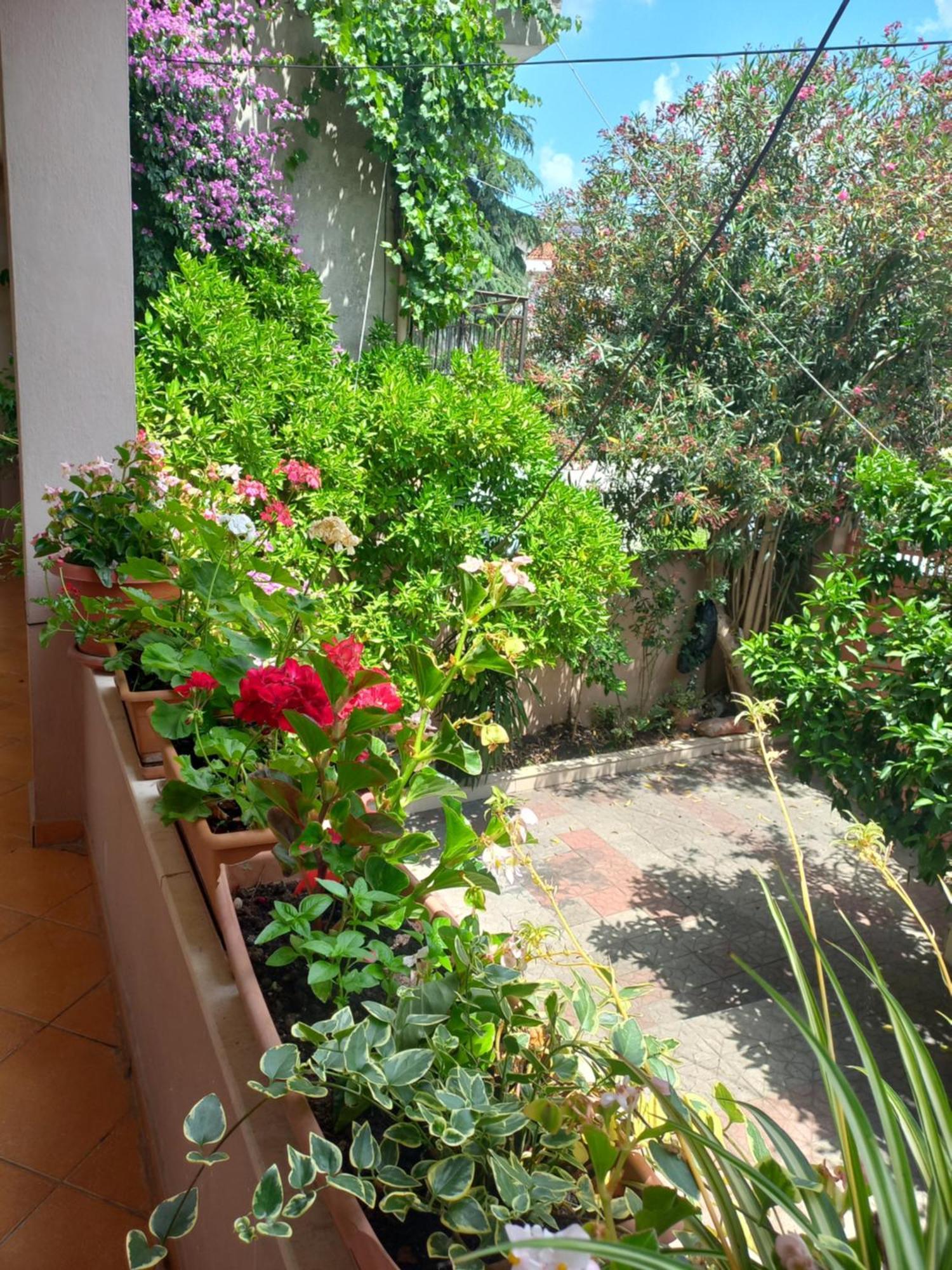 Flowers Guesthouse 地拉那 外观 照片