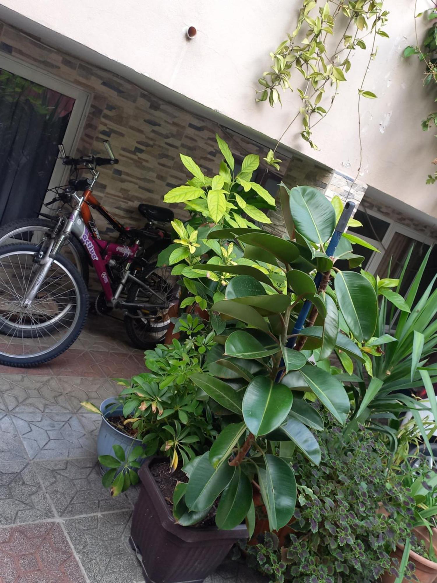 Flowers Guesthouse 地拉那 外观 照片